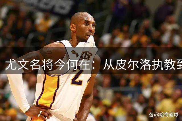 尤文名将今何在：从皮尔洛执教到比达尔宝刀未老